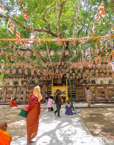 Bodh Gaya Gallery