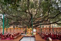 Bodh Gaya Gallery