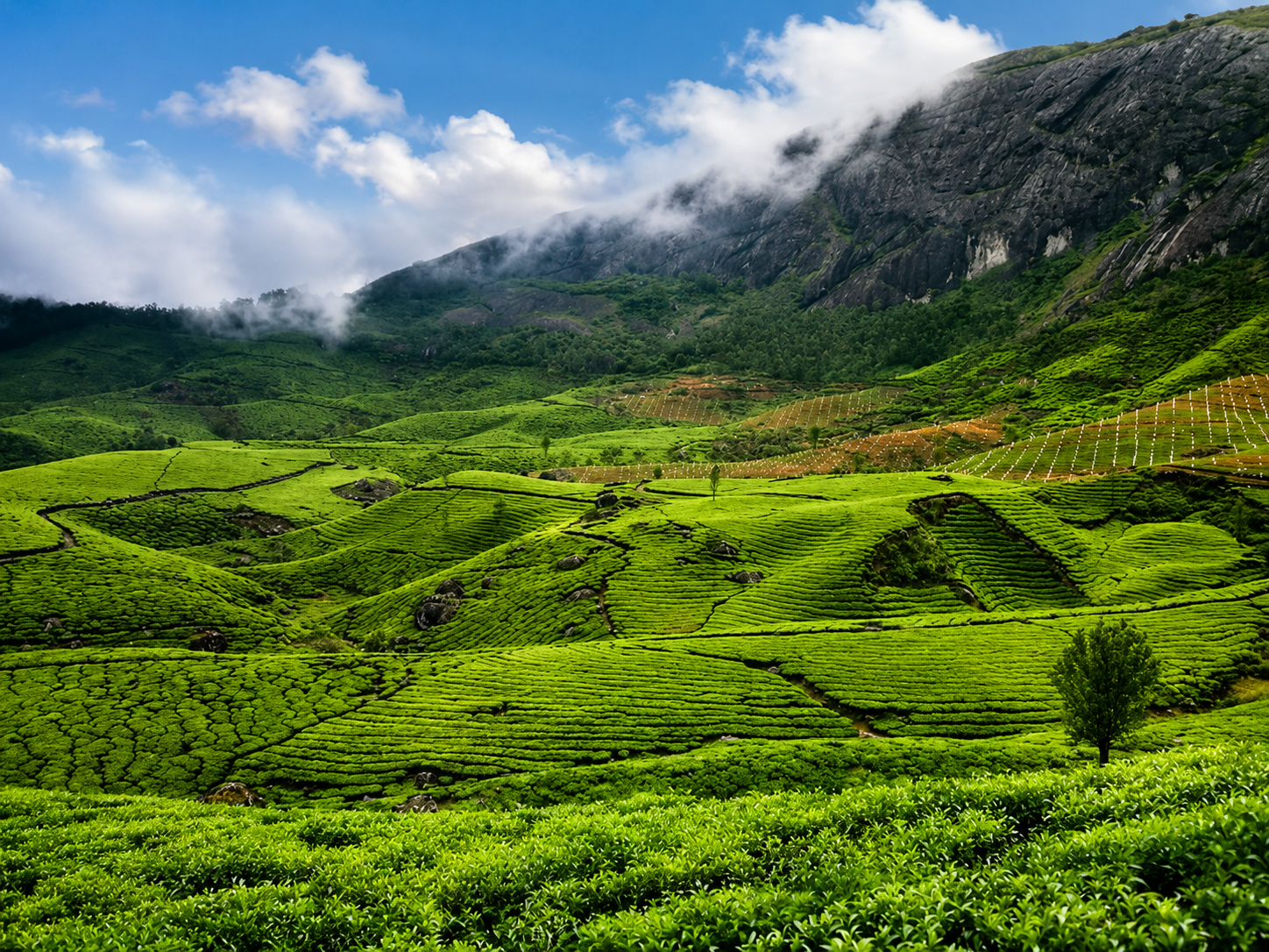 South India