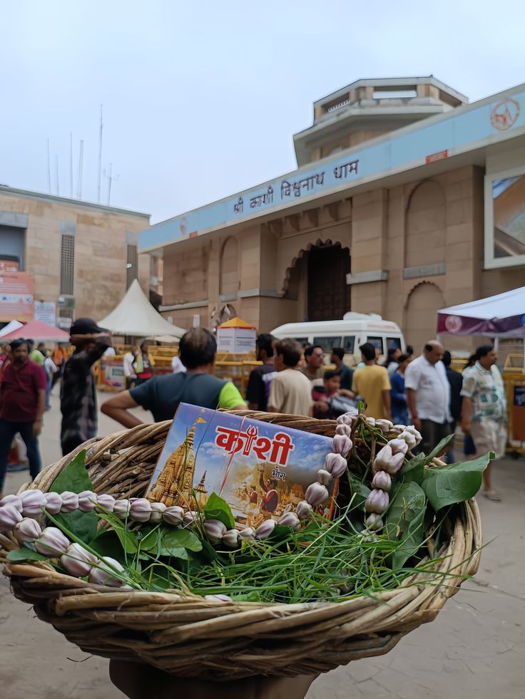 Kashi Gallery